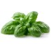 BASIL (UK)