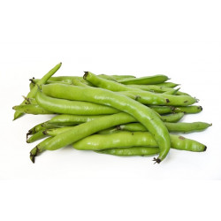 BROAD BEANS (UK) 700g