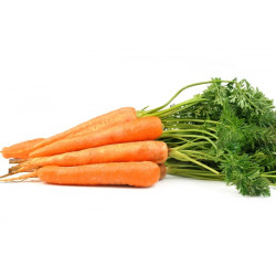 CARROTS - BUNCHED (UK)