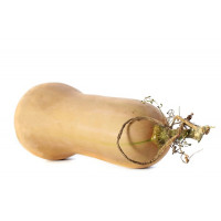 SQUASH - BUTTERNUT (UK)