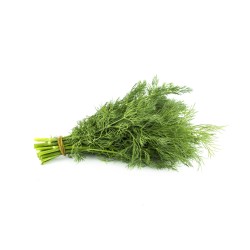 DILL (UK)