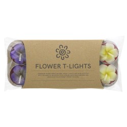 FRANGIPANI TEALIGHTS (Siesta) x 8