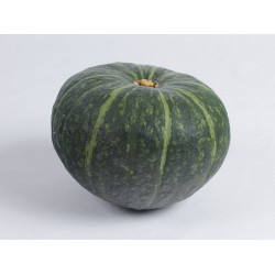 SQUASH - MIXED VARIETIES (UK) 600g