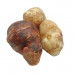JERUSALEM ARTICHOKES (UK) 500g JERUSALEM ARTICHOKES (UK) 500g