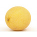 MELON (Spain)