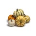 SQUASH - MIXED VARIETIES (UK)