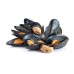 SHETLAND MUSSELS (Tarbett's) 1kg