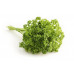 PARSLEY (UK)