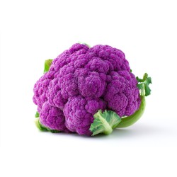 CAULIFLOWER - COLOURED (UK)