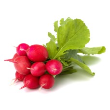 RADISH (UK)