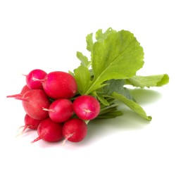 RADISH (UK)