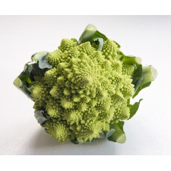 ROMANESCO CAULIFLOWER (Spain)