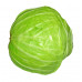 CABBAGE - SPRING GREENS (UK) CABBAGE - SPRING GREENS (UK)