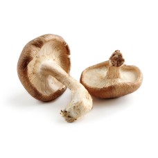 MUSHROOMS - SHIITAKE (Netherlands) 120g