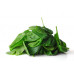 SPINACH  (UK) 200g
