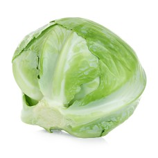 CABBAGE - TUNDRA (UK)