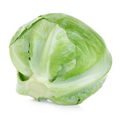 CABBAGE - TUNDRA (UK)